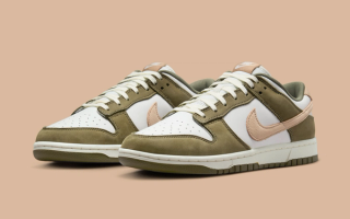 Nike Dunk hot Low (*Medium Olive*) NEWLY RELEASED!!!